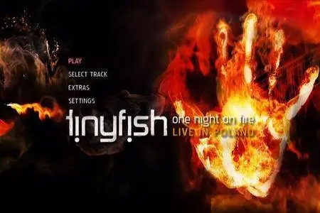 Tinyfish - One Night On Fire - Live In Poland (2009) DVD