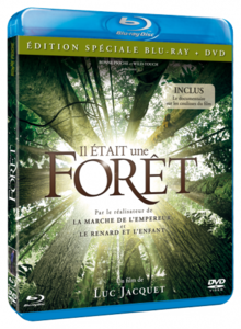 Il était une forêt / Once Upon A Forest / Однажды в лесу (2013) [ReUp]