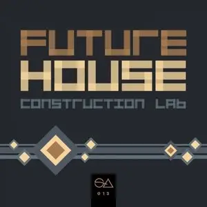 Sample Anatomy Future House Construction Lab WAV