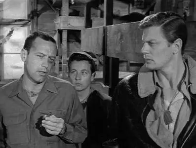 Stalag 17: L'Inferno dei Vivi (1953)