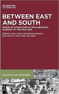 Between East and South: Spaces of Interaction in the Globalizing Economy of the Cold War (Dialectics of the Global)