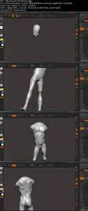 Male Figure Sculpting In ZBrush