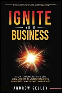 IGNITE Your Business: Secrets From a 10-Figure CEO: How Leaders of Underperforming Businesses can Explode Their Profits