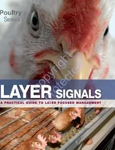 Layer Signals: A Practical Guide for Layer Focused Management