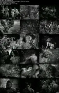 Tarzan The Ape Man (1932) [Repost]