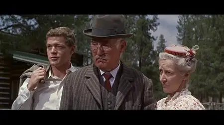 Spencer's Mountain (1963)