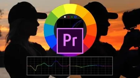 How To Color Grade & Make LUTs In Premiere Pro For Beginners