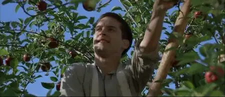 The Cider House Rules / Правила виноделов (1999)