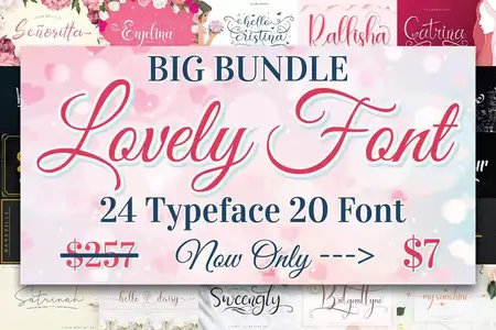 BIG BUNDLE - Lovely Font Collections - 20 Premium Fonts