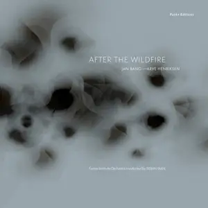 Jan Bang, Eivind Aarset, Arve Henriksen - After the Wildfire (2025) [Official Digital Download 24/48]