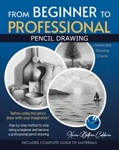 From Beginner to Professional: Step-by-step method to stop being a beginner and become a professional pencil drawing