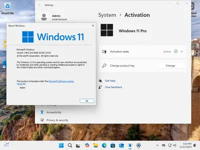 Windows 11 Pro 24H2 Build 26100.2314 (No TPM Required) With Office 2021 Pro Plus Multilingual Preactivated November 2024