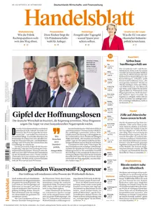 Handelsblatt  - 30 Oktober 2024