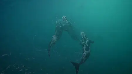 Ocean Souls (2021)