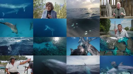 Ocean Souls (2021)