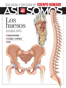 Así Somos El cuerpo humano - Fascículo 8 2024