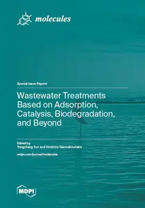 Wastewater Treatments Based on Adsorption, Catalysis, Biodegradation, and Beyond