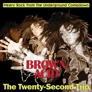 VA - Brown Acid - The Twenty Second Trip (2026) [Official Digital Download 24/48]