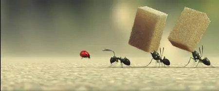 Minuscule - La vallée des fourmis perdues (2013)