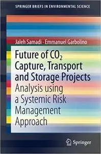 Future of CO2 Capture, Transport and Storage Projects: Analysis using a Systemic Risk Management Approach