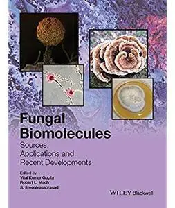 Fungal Biomolecules: Sources, Applications and Recent Developments