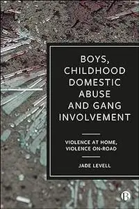 Boys, Childhood Domestic Abuse and Gang Involvement: Violence at Home, Violence On-Road