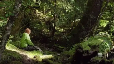 CBC - The Nature of Things: Spirit Bear Family (2015)