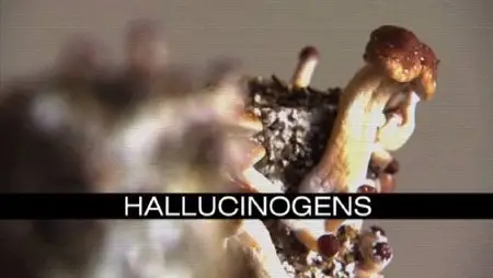 Drugs Inc. S02E04 "Hallucinogens"