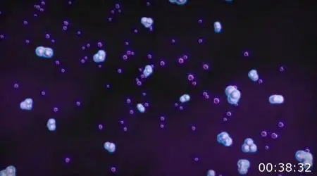 Our Atmosphere: Earth Science