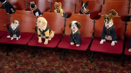 Pup Academy S01E05