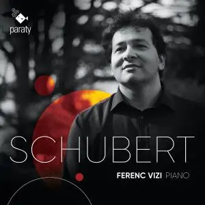 Ferenc Vizi - Schubert (2021)