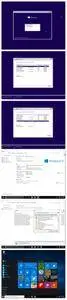 Microsoft Windows 10 Aio 1511.2 June 2016 Multilingual Full Activated