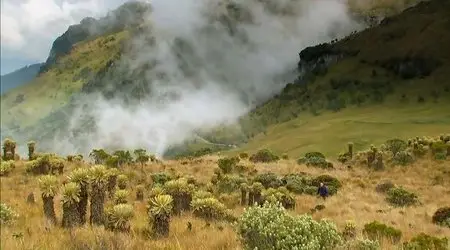UKTV - Wild Colombia (2012)