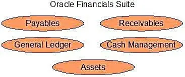 Oracle R12 - ERP Finanicals (AR, AP, GL, CM, FA and others)