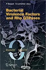Bacterial Virulence Factors and Rho GTPases (Repost)