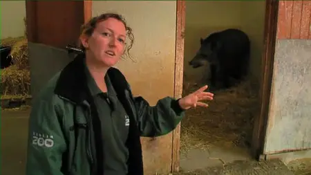 The Zoo: Season 2 Dublin part3