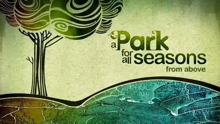 Oasis HD - A Park for All Seasons from Above (2013)