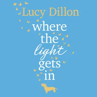 «Where The Light Gets In» by Lucy Dillon