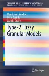 Type-2 Fuzzy Granular Models