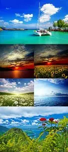 Amazing Nature