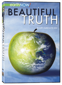 The Beautiful Truth (2008) [repost]