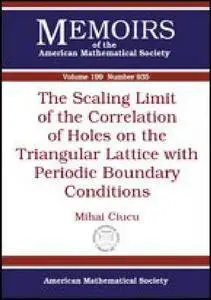 The Scaling Limit of the Correlation of Holes on the Triangular Lattice With Periodic Boundary Conditions