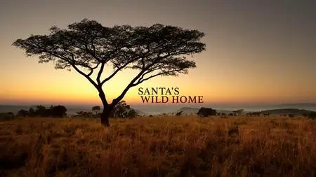 PBS Nature - Santa's Wild Home (2020)