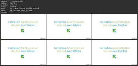 Automatisation Des Test Logiciels Avec Katalon De A À Z