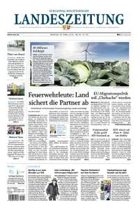Schleswig-Holsteinische Landeszeitung - 29. April 2019