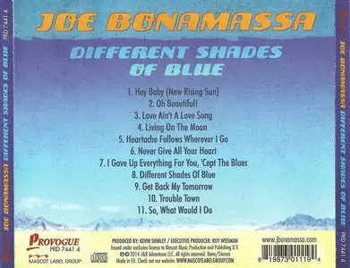 Joe Bonamassa - Different Shades Of Blue (2014)