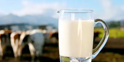 Mark McAfee - Raw Milk: The Untold Story