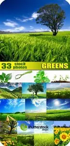 Shutterstock: Greens