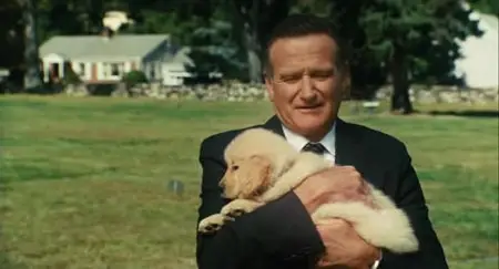 Old Dogs (2009)