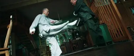 Ip Man: The Final Fight (2013)